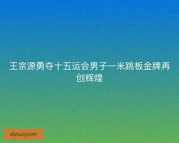 王宗源勇夺十五运会男子一米跳板金牌再创辉煌