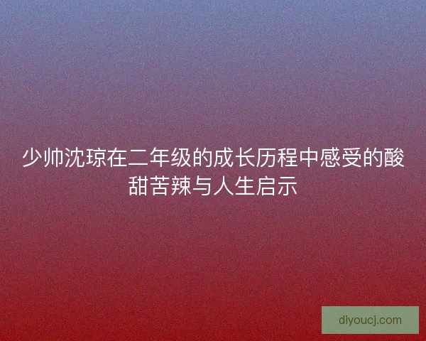 少帅沈琼在二年级的成长历程中感受的酸甜苦辣与人生启示