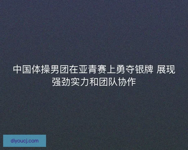 中国体操男团在亚青赛上勇夺银牌 展现强劲实力和团队协作